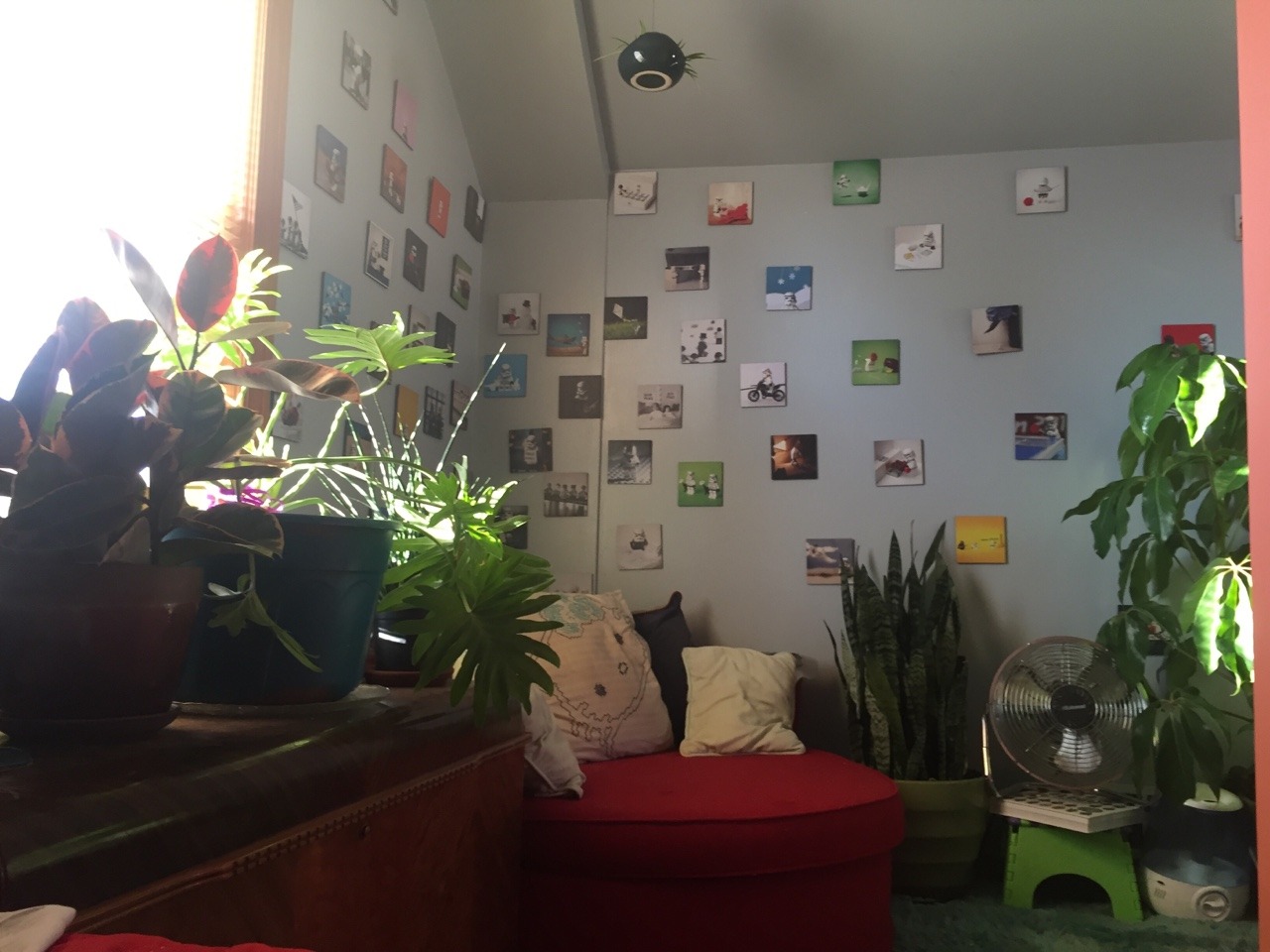 plantsforpluto:Because today is filled with so much anxiety, here’s a shot of my