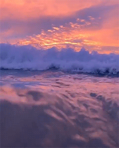 trasemc:I love the ocean