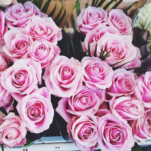 emmamilleruk:  Picking out the most beautiful roses for the perfect bouquet #sunday (at Columbia Roa