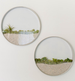 itscolossal:  Circular Framed Planters Add Living Art to Your Walls