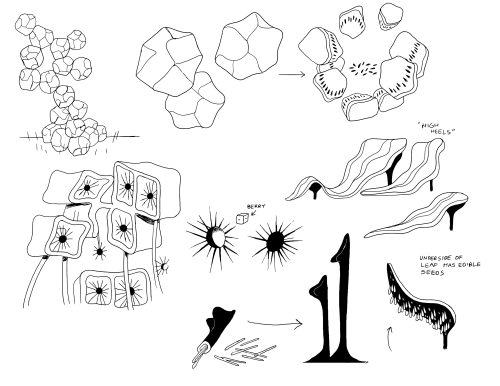 BMO Farm Pod concept art by Michael DeForge adult photos