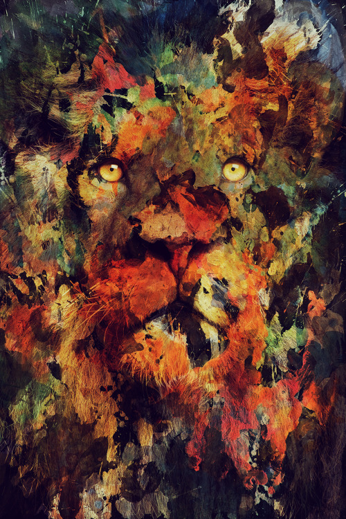 Animal Portraits By Andreas Lie