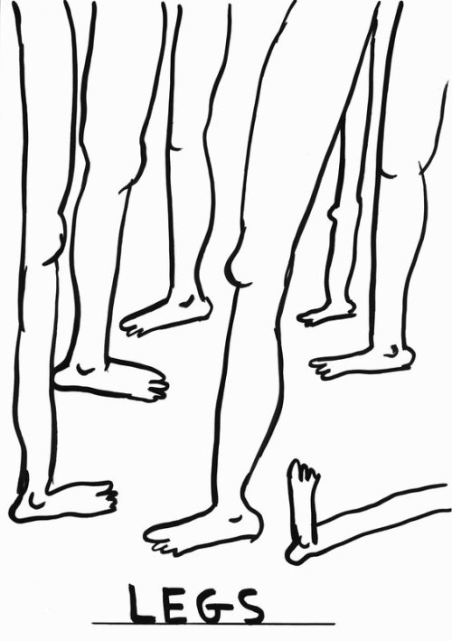 David Shrigley