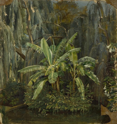 Pimen Orlov (1812-1865), Landscape with the Depiction of Tropical Forests and Banana Trees