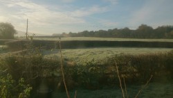 Sunshine over frosty fields.