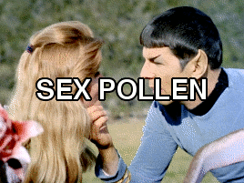 needsmorestartrek:technoranma:fangirlshenanigans:Star Trek + fanfiction tropesthank you so much star