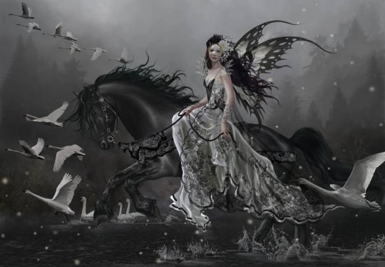 What is Faery?