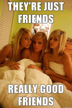 bicurious-bisexual-lesbian: They have a lot