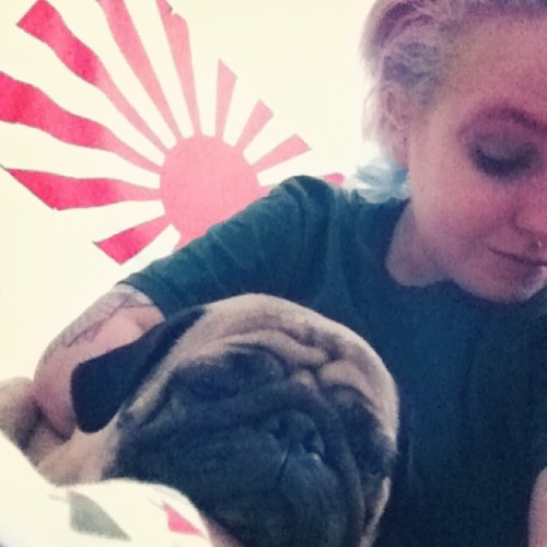 Momo’s post breakfast nap. And my slicked back bed head #pug #puglife #pugsofinstagram #Japane