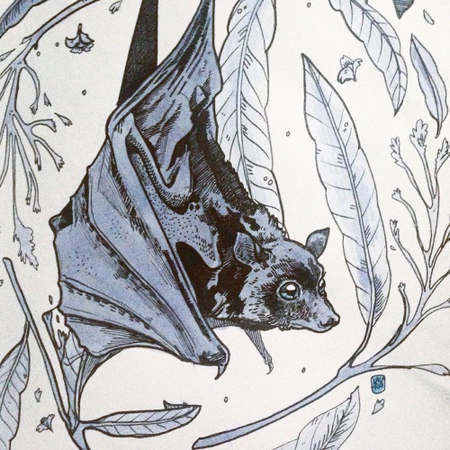 Featured image of post Bat Drawing Realistic Most relevant best selling latest uploads