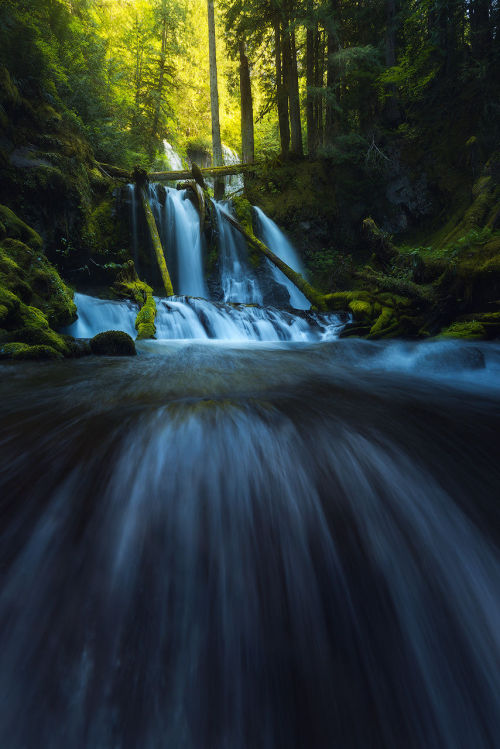 radivs:  Waterfalls by Marcelo Castro  | 500px | Facebook | Google+ 1 | 2 | 3 | 4 | 5 | 6 | 7 | 8 