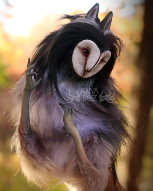 anyaboz:Ash Gryphinx Room Guardian For AuctionGryphinxes are an original species. They have a b