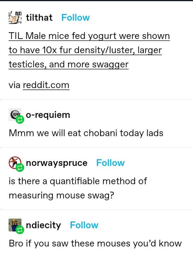 kragehund-again:coyotepilledd:i’m insanely addicted to oikos greek yogurt i eat