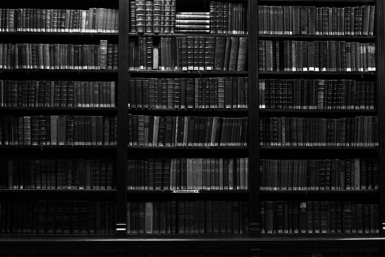 Forever Lost in Literature