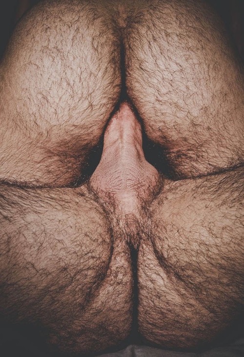 gayhairylovers:  wooooffff