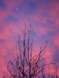 pixandum:  12.7.15. “Sunday’s Tender Winter Sunrise/Moonset” 