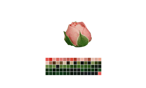 naturalpalettes:  gif credit; made by naturalpalettes