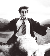 strengthofyourhearts:  fangirl challenge 2.0 » [13/?] characters  Harry James Potter (Harry