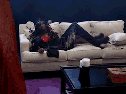 newjackkween:  suckahfree-yippy:  hitfix:  Today is the 10th Anniversary of the this magical moment    iconic   The legend   Fuck yo couch nigga! Rich muthafucka, buy a new one! Darknesses!