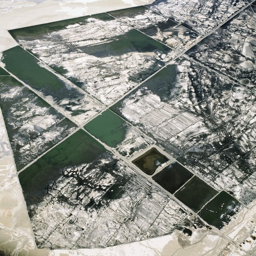 imprecise:  David Maisel