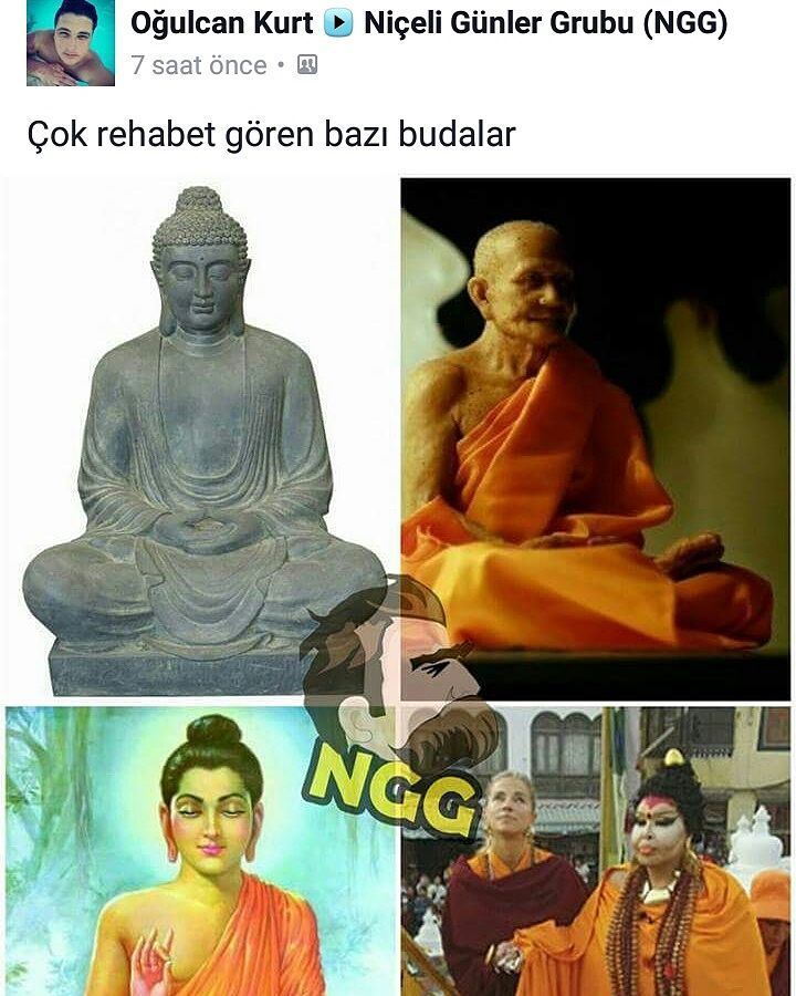 Çok rağbet gören bazı Budalar