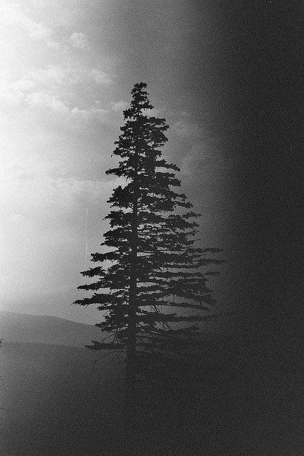 torturin:  [B&amp;W BLOG]