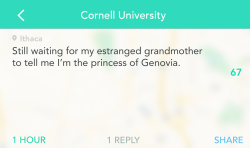 Yik Yak