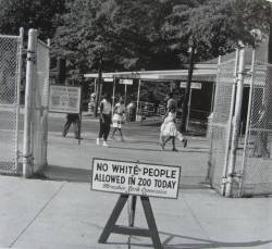 hmmjolee:  patoispapi:  historicaltimes:  Sign placed in front of the Memphis Zoo, Tennessee, stating the only day of the week that African Americans were allowed to visit, c. 1959. via reddit  This is the kind of thing white people see and say: “It’s