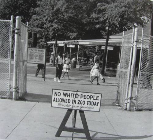 hmmjolee:  patoispapi:  historicaltimes:  Sign placed in front of the Memphis Zoo, Tennessee, stating the only day of the week that African Americans were allowed to visit, c. 1959. via reddit  This is the kind of thing white people see and say: “It’s