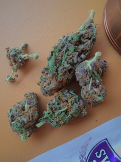 higheramerica:  Hello! Is there anybody out there?  Someone send me some of this. I need it bad.