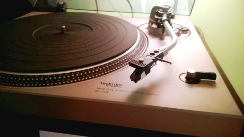 nestofvellum:  My baby. 