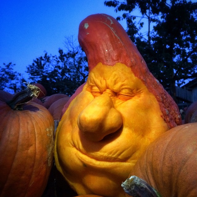 instagram:  Carving Pumpkin Sculptures with @villafanestudios  For more photos and