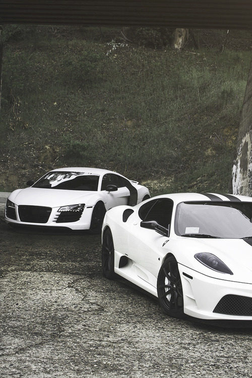 - Exotic Style -