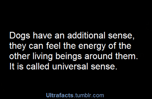 ultrafacts:  More facts on Ultrafacts Blog 