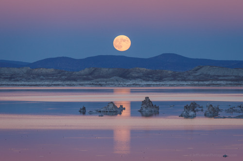 softwaring:  Penumbral Lunar Eclipse Rising over Mono Lake; Jeffery Sullivan