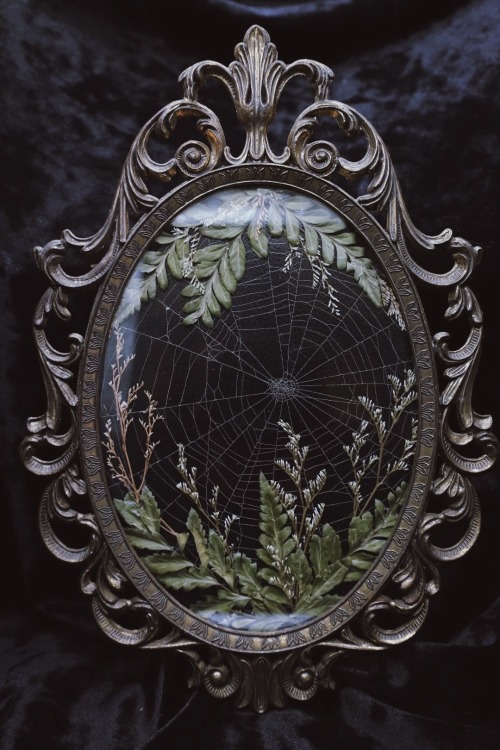 By Bewitched Oddities