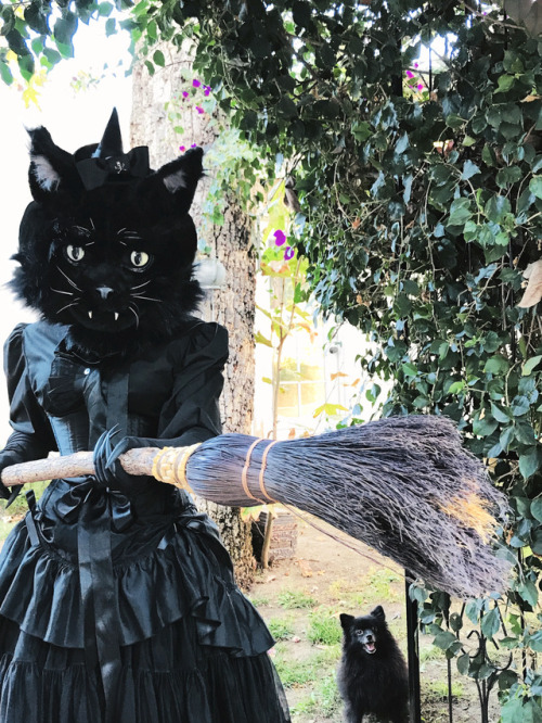 pocketfullofposiez: I found a cat head at Target so i got the bright idea to customize it and recreate my Witch Kitty painting from 2009. 