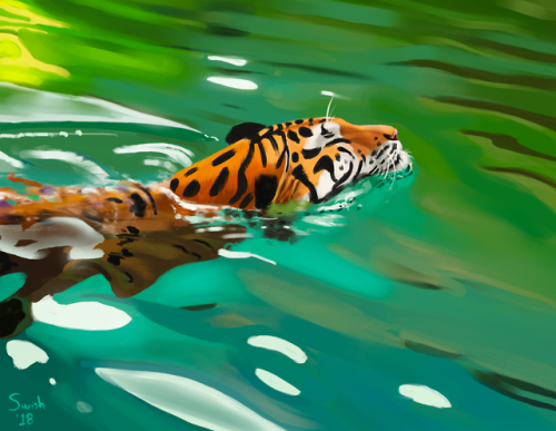 drawing swimming animals is a great way to study water effects.