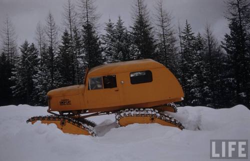 Sno Cat(Eliot Elisofon. n.d.)