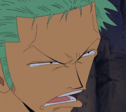 badpicturesofzoro:  hey listen here buddy 