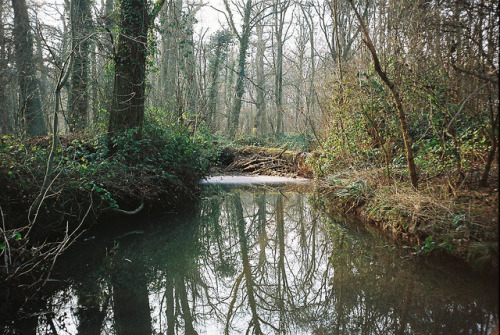 arquerio:ot35 - coombe abbey walk by johnnytakespictures on Flickr.