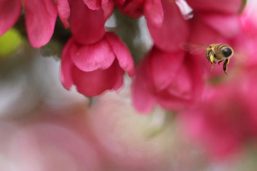 Värmland, Sweden (May 19, 2019).