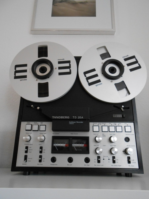 Tapeworld