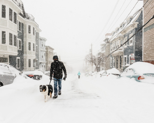 melodyandviolence: Boston ( January 2015- Juno) by brad romano