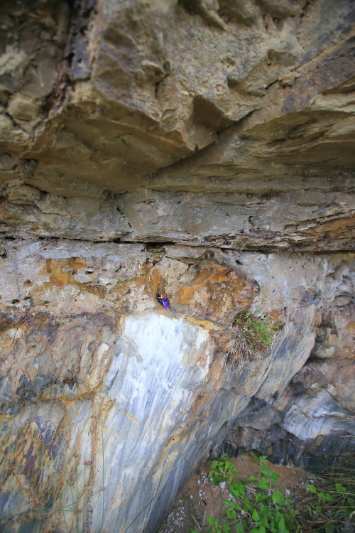 geologicaltravels:2015: The Myrtle Beach angular unconformity