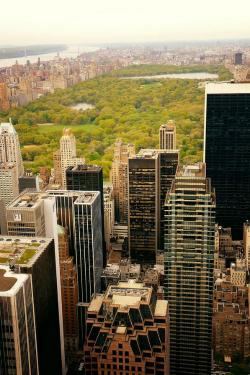 ilaurens:  New York City Skyline, View from