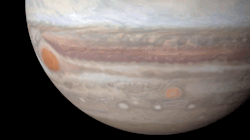 ucresearch:  theverge:  NASA is showing off a new 4K video of Jupiter Thanks, Hubble!  With the aid of UC Berkeley astronomer Michael Wong, NASA’s Hubble Space  Telescope team has produced a dramatic new video of a rotating Jupiter,  its bands and famed
