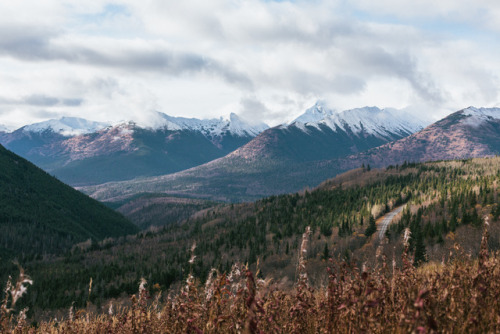 Sometimes you need to make a plan to wander.Hope, Alaska