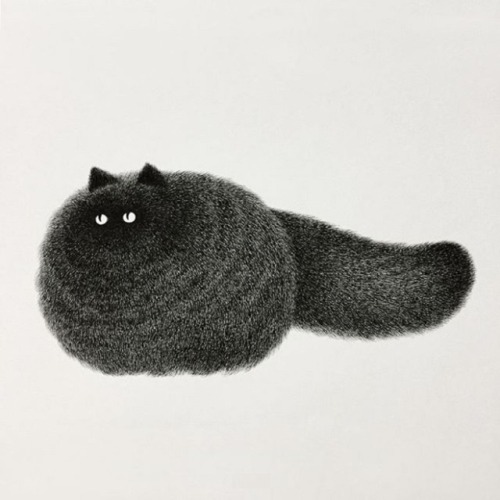 artisticmoods:A selection of very, very fluffy cats by Kamwei Fong, shared on the blog today:http://