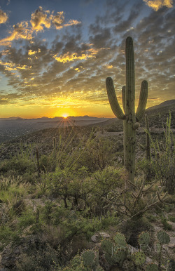 &ldquo;Tucson Sunset&rdquo; jerrysEYES